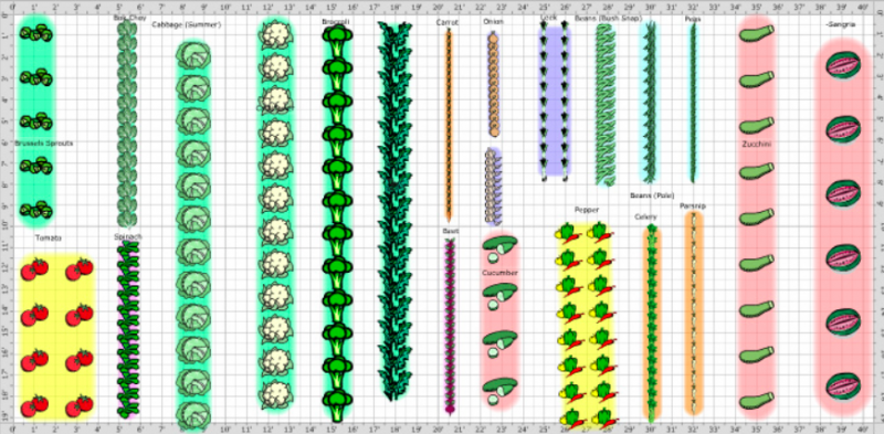 Traditional garden row layout