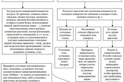 Схема решения проблемы с плесенью