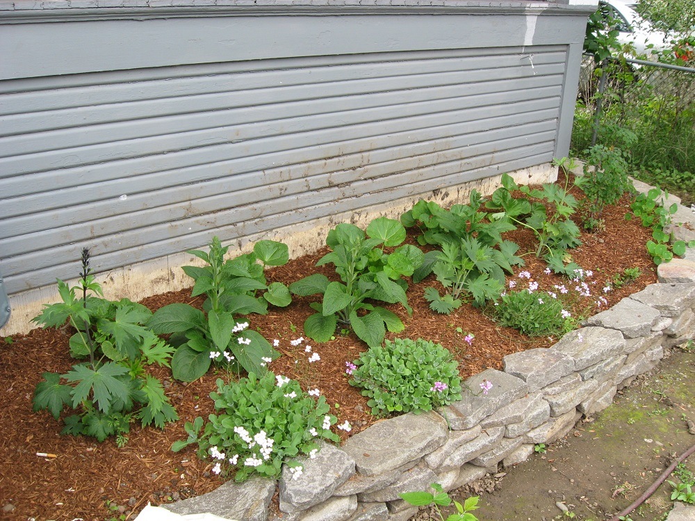 flower bed landscaping ideas