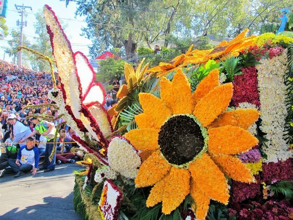 Цветочная скульптура в виде подсолнуха с бабочкой