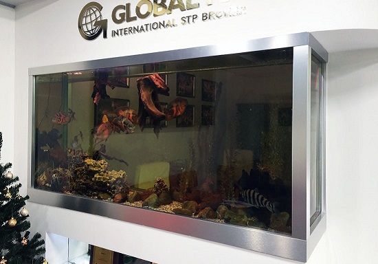 Оформление акваримов в Москве под заказ, аквариум с цихлидами