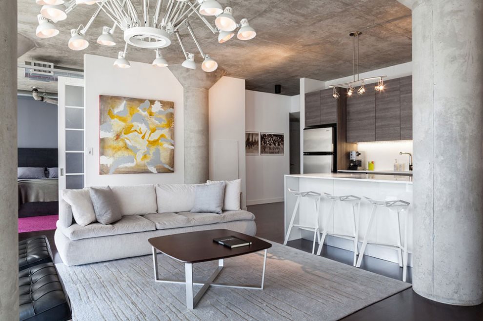 Светло-серый ковер на полу кухни-гостиной в стиле лофта