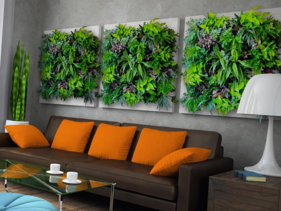 Декор живыми растениями стены над диваном
