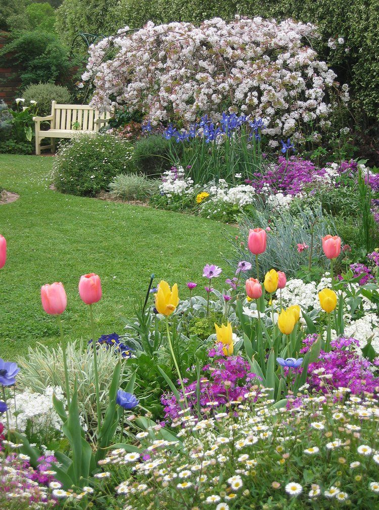 Садовая клумба с тюльпанами и другими цветами