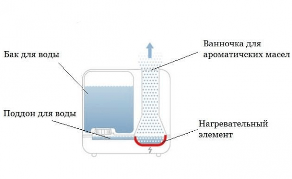 Устройство парового увлажнителя воздуха