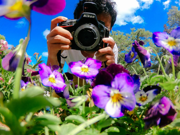 A photographer taken a shot of purple flowers with a DSLR