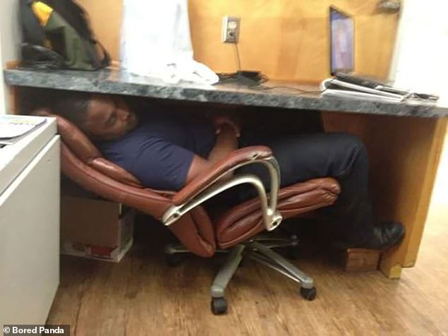 Hidden depths! An office worker who was trying to catch 40 winks undisturbed, found a way to squash his chair under the desk and make it into a make shift bed
