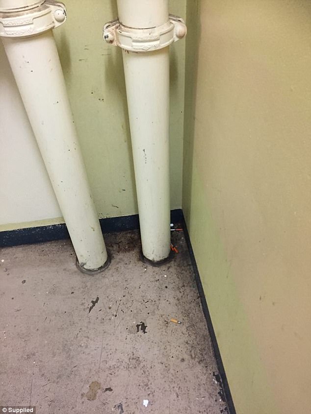 Blood-filled syringes litter stairwells and common areas, people urinate in the lifts and photos even show faeces sprayed and smeared on hallway walls (pictured is blood in a lift)