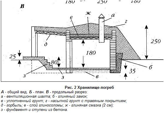 Устройство погреб: виды конструкций, способы строительства и изоляции