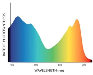 Light spectrum wavelength graph