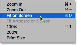Selecting the Fit on Screen command from the View menu.