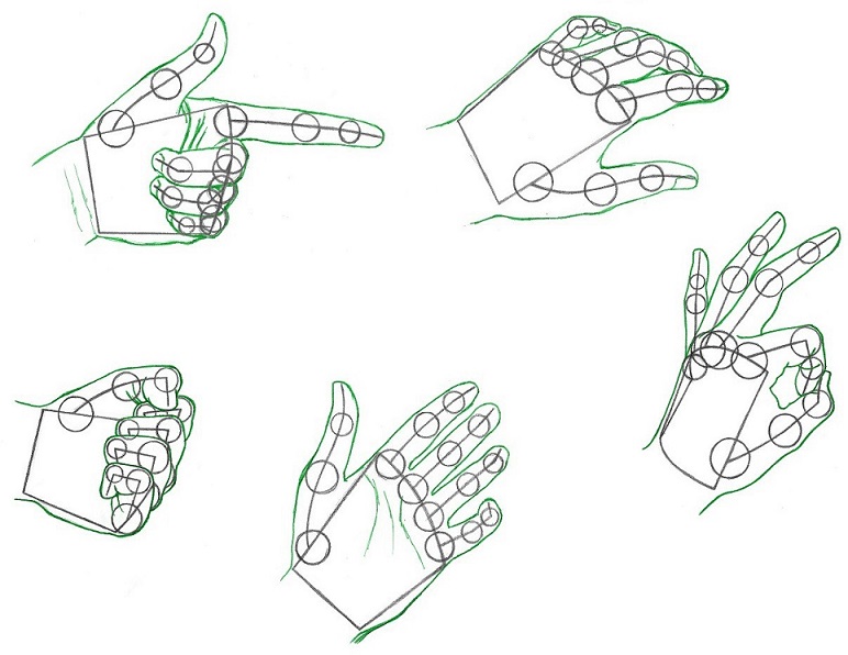 Drawing realistic hands example gestures