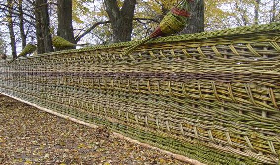 Декоративный плетёный забор для дачи