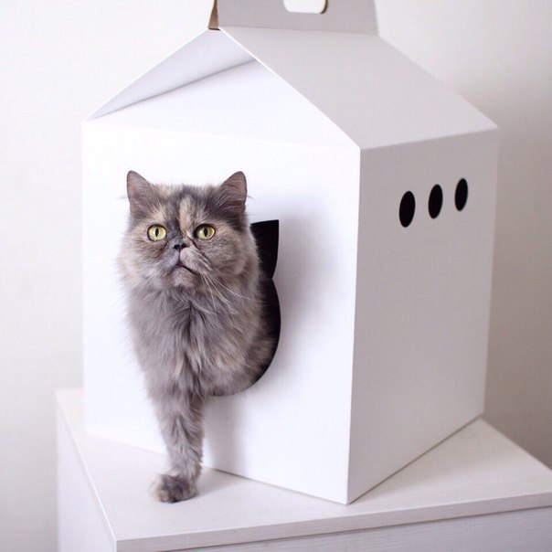 Сделайте домик для кошки из футболки при помощи этих простых инструкций