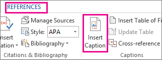 Insert Caption button on the References tab
