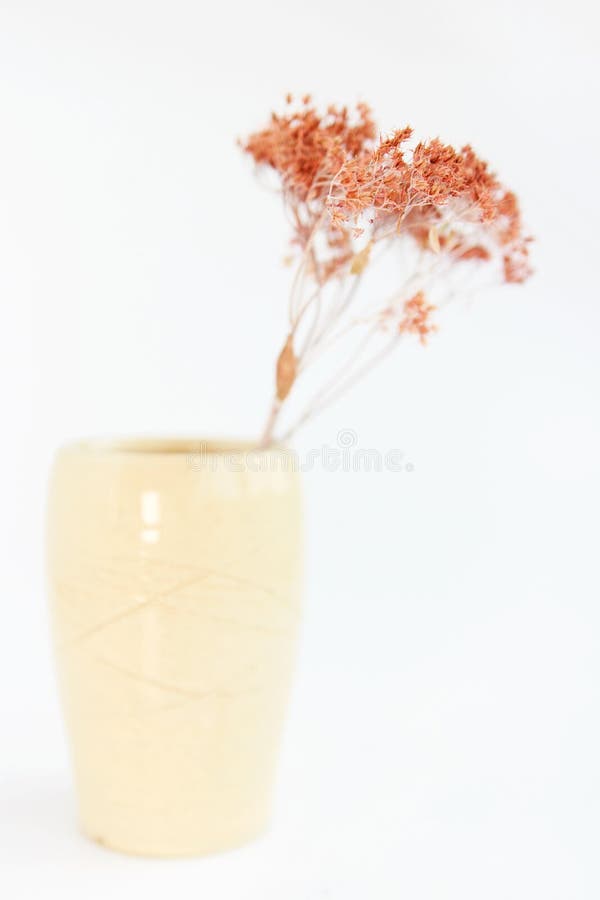 Beige vase with dried plants on a white background. minimalism style. interior decoration. Beige vase with dried plants on a white background. minimalism style royalty free stock photo