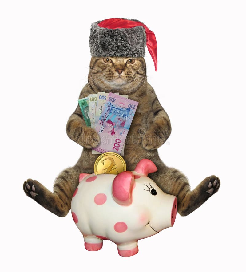 Cat cossack with piggy bank 2 royalty free stock photo