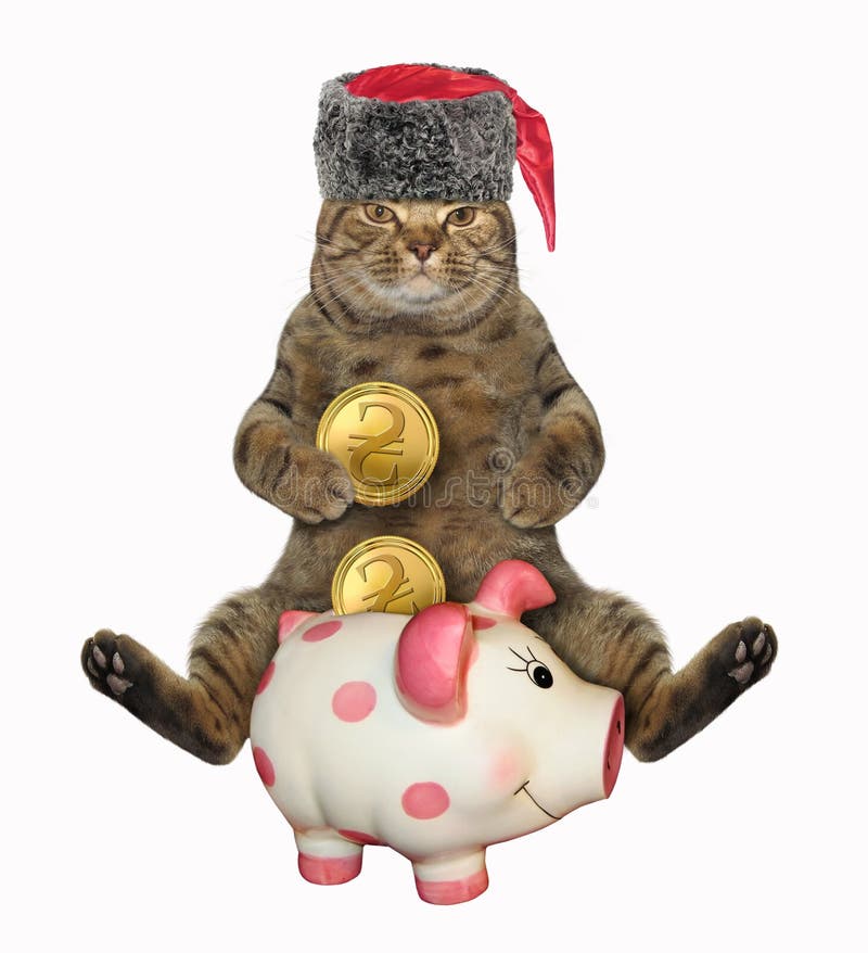 Cat cossack with piggy bank royalty free stock photos