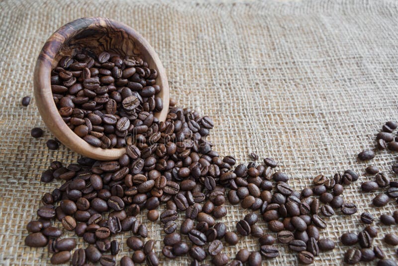 Coffee beans on the rough burlap. Coffee beans spill out of a wooden bowl on the background of rough burlap stock images
