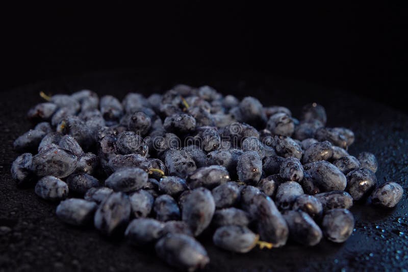 Dark ripe honeysuckle berries against a black background stock image