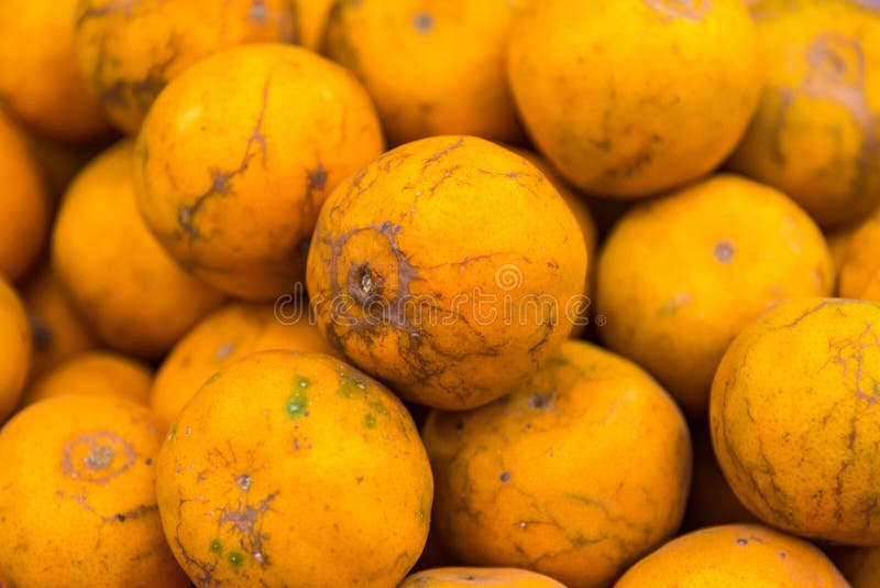 Fresh Oranges background Thai honeysuckle species oranges pile texture, for sale stock photography