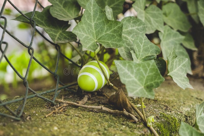 Green Easter egg on the ground in the yard - perfect for background. The green Easter egg on the ground in the yard - perfect for background royalty free stock image