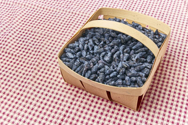 Honeysuckle berry fruits in a wood basket. Honeysuckle blue berry fruits in a wood basket on the red table wear royalty free stock photo