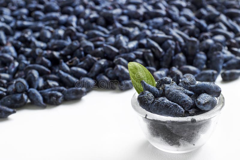 Honeysuckle blue berry fruits in a glass bowl. Fresh honeysuckle blue berry fruits in a glass bowl wit leaf of mint on a half white background, copy space royalty free stock photo