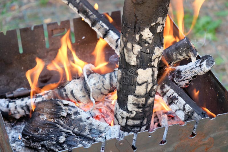 Metal portable barbecue on the ground in the yard. Brazier is covered with rust. Firewood burns out in the barbecue, a bright orange fire. One log in the royalty free stock photo