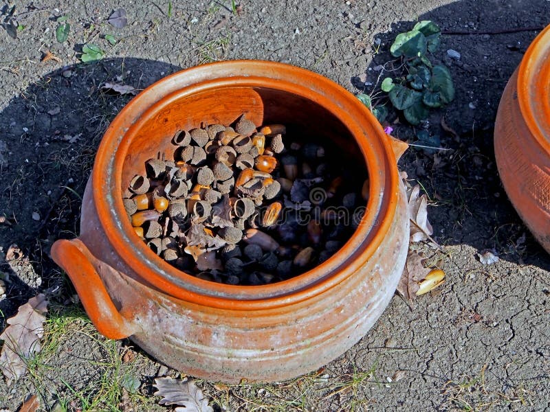 Old clay broken pottery with acorns and oak leaves inside on the ground in the yard of a roadside restaurant. Old clay broken pottery on the ground in the yard royalty free stock image