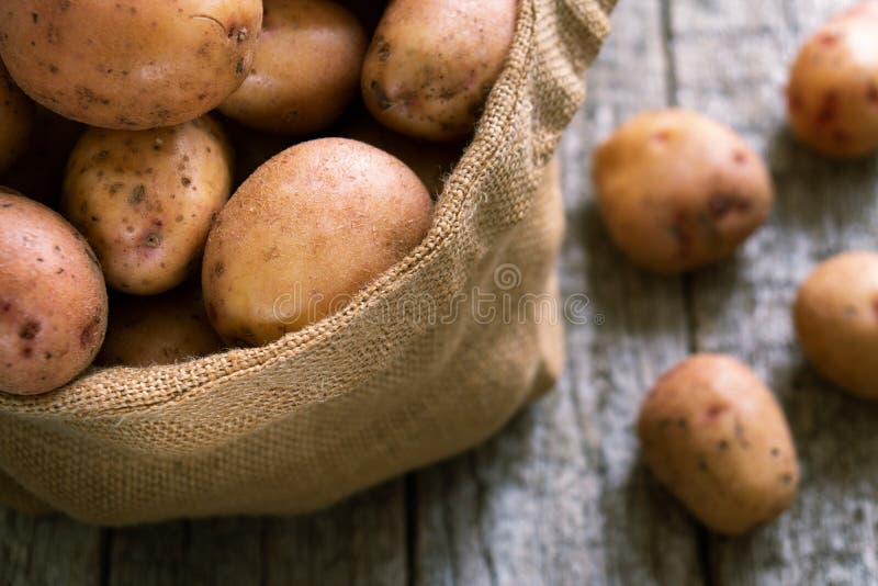 Raw potatoes in a burlap sack on the rough wooden boards close up. Raw unpeeled potatoes in a burlap sack close up standing on the rough wooden boards of country stock photo