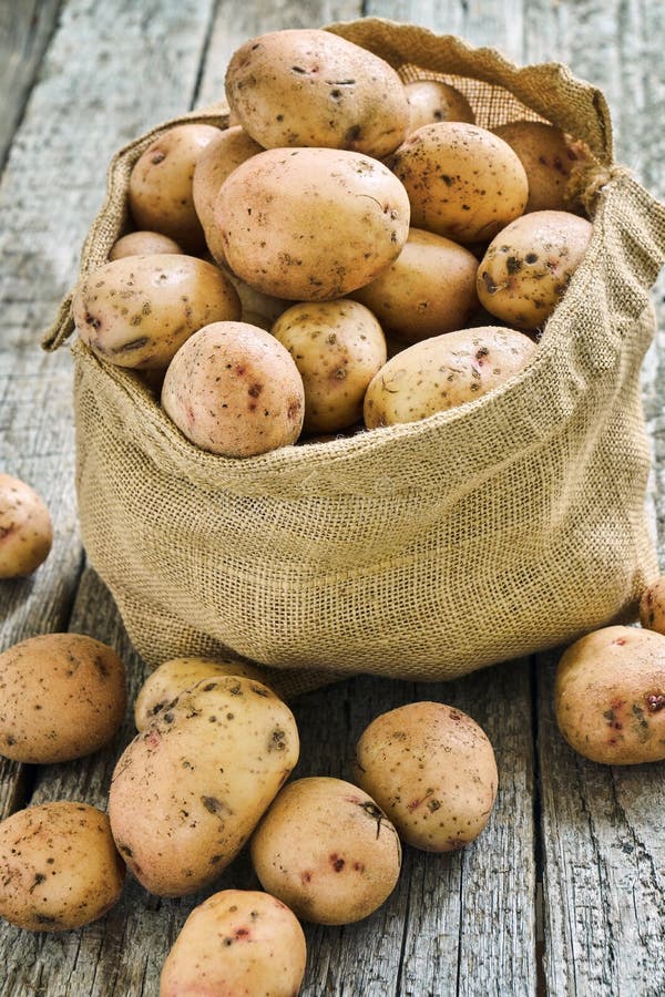 Raw potatoes in a burlap sack on the rough wooden boards. Raw unpeeled potatoes in a burlap sack standing on the rough wooden boards of country table stock photo