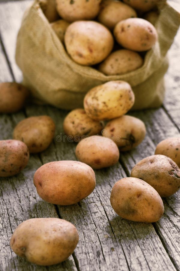 Raw potatoes in a burlap sack on the rough wooden boards. Raw unpeeled potatoes in a burlap sack standing on the rough wooden boards of country table royalty free stock photo