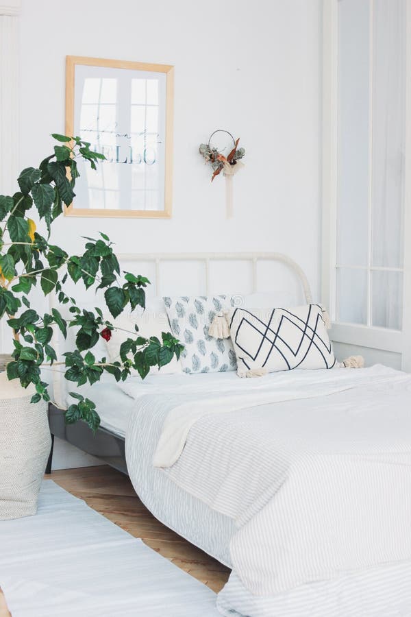 Scandinavian modern cozy eco white interior in bedroom, big green house plant, minimalism. The Scandinavian modern cozy eco white interior in bedroom, big green stock photo