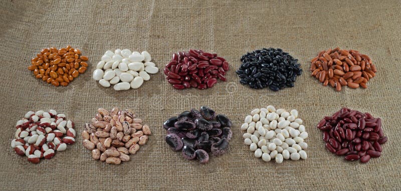 Ten different varieties of beans against the background of the rough texture of burlap. Selective focus royalty free stock images