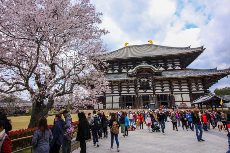 Tourist in the court yard outside of the templePeople in and out of the temple grounds. Tourist outside the Buddist temple in the garden with the Cherry Blossom stock images