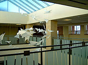 Daylit entry space in the GSA office building at the Denver Federal Center