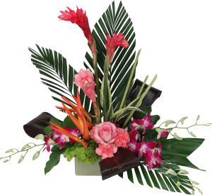 Tropical Flowers · Artistic and Exotic Flowers Designs