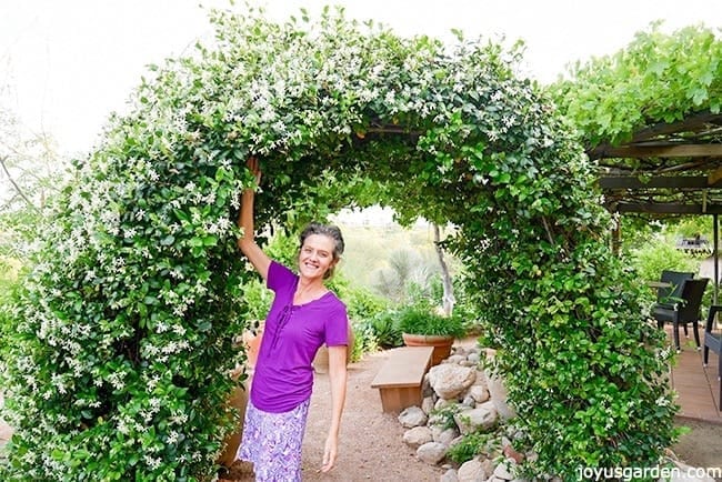 nell foster in a purple top stands underneath an arch covered with star jasmine in full flower