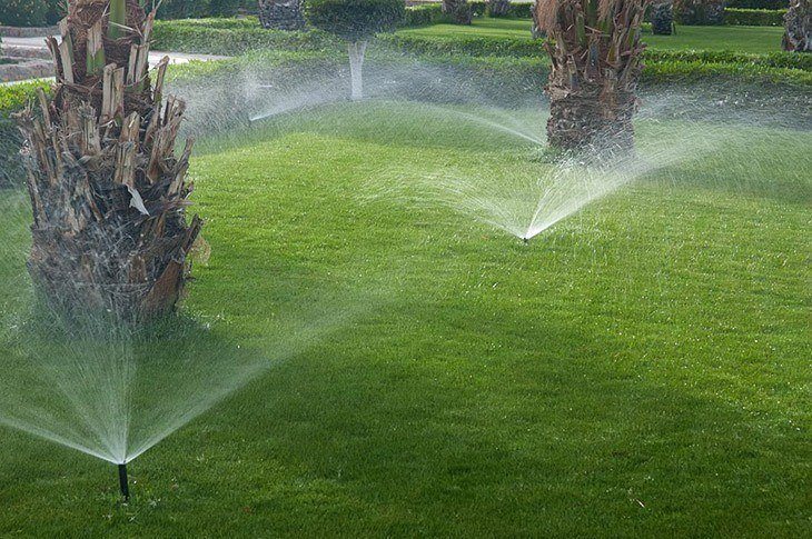 Irrigating the sod to make it grow_How to Lay Sod over Existing Lawn