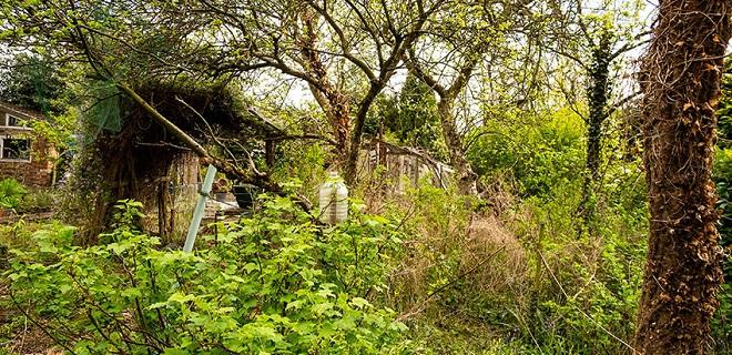 Garden clearance