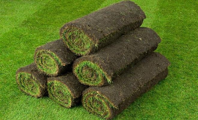 Turf Delivery