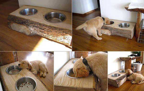 dog-feeder