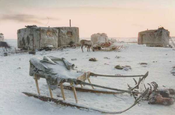 Что такое балок на севере фото