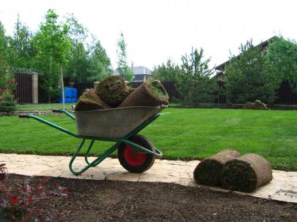 Сайт для садовода-огородника. Агрохимикаты, удобрения. Садовая техника