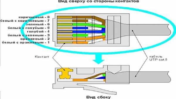 Схема подключения интернет розетки по цветам