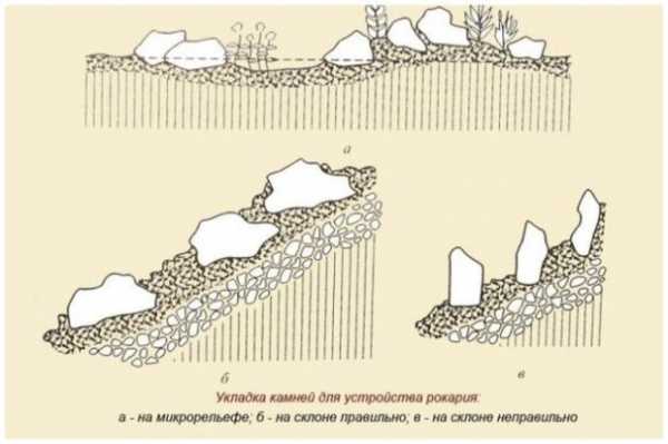 Рокарий своими руками схемы пошаговое фото на ровном месте
