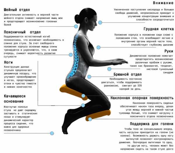 Стулья ученические регулируемые производитель