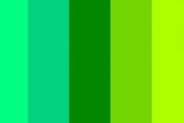 Цвет изумрудный зеленый фото